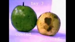 IC2 Institute Fruit Coating Technology