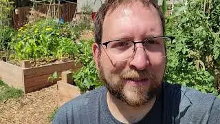 Los Angeles Urban Farm Introduction