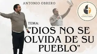 ANTONIO OBRERO // TEMA: 