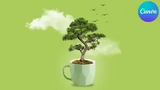 Photo Manipulation in Canva (Easy Tutorial!)