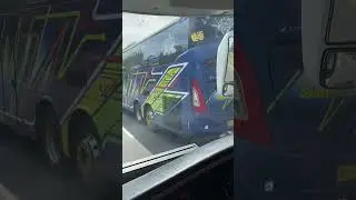 Bus STJ Tronton | Bus Mania