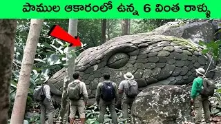 6 Unbelievable Discoveries of Giant Stone Snakes | Stones that look like snakes | bmc facts | telugu