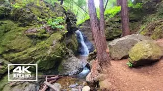 How I Found Secret Waterfall: Cascade Falls - Relaxing Walking Tour [4K]