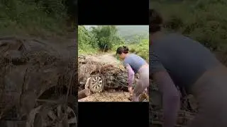 &lrm;From Flood to Function: Repairing a Damaged Car&lrm;