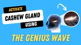 The Genius Wave 🌊| The Genius Wave Honest Review #thegeniuswave