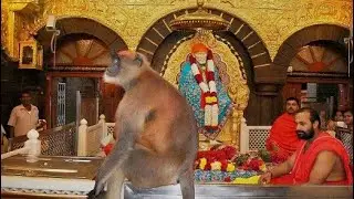 Mere sai whatsapp status video || Shirdi Sai Baba Whatsapp status Video ||