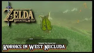Koroks in West Necluda Guide - Part 5 - The Legend of Zelda: Breath of the Wild