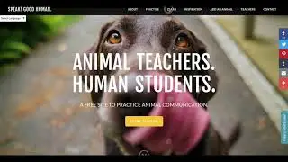 Where to Learn and Practice Animal Communication for FREE