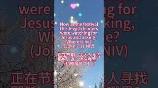 John7:11read in Mandarin Chinese#Bible#Chinese #learnchinese