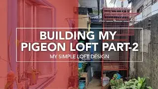 BUILDING MY PIGEON LOFT PART-2