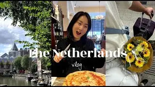 Netherlands Vlog | exploring Rotterdam | reunited with ld bf 🫶🏻 brunch, Markthal, and more 🤸🏻&zwj;♀️