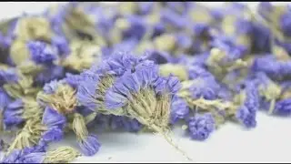 Mass Appeal How to use lavender for cooking, potpourri & first aid