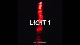 LICHT 1 - WSM feat. Gabi Neumann