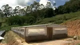 Ranicultura em Santa Catarina - Programa Globo Rural 2012