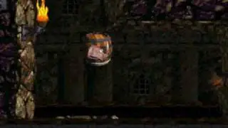 Donkey Kong Country 2 - Castle Crush Glitch Part 2