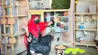 ماشاءاللہ میرے طوطوں نے بریڈنگ شروع کردی 😍