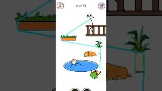 Thief Puzzle level 45