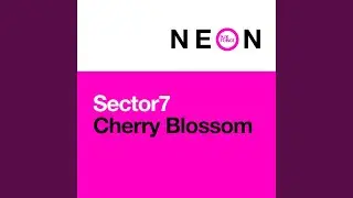 Cherry Blossom