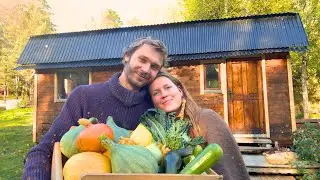 Day in the Life: Harvesting Tobacco & Pumpkins - Off Grid Homestead