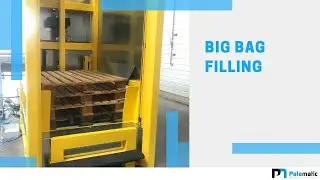 Pallet unstacker | Palamatic Process Inc.