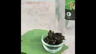 Premium Paan Online &ndash; Fresh Flavors & Authentic Taste | Tummypops