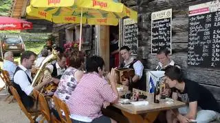 Alm Musi Roas 2014 Zwieselalm - 