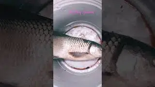 big fish 5kg //sunday special