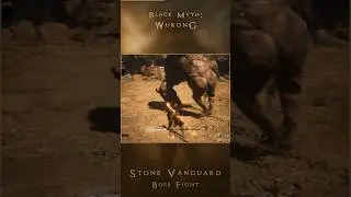 Stone Vanguard Boss Fight 🔥 #shorts #short #shortvideo #gaming #gameplay #blackmythwukonggameplay