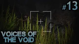 Voices of the Void S5 #13 - Dangerous Prospects