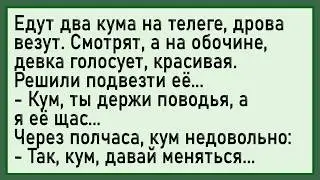 Как у кума 3астрял! Сборник свежих анекдотов! Юмор!