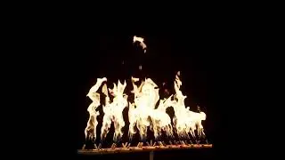 Warming Trends  Tree Style CROSSFIRE&trade; Gas Burner