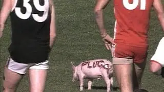Sydney v St.Kilda Round 18 1993