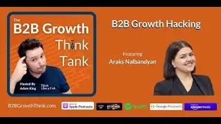 B2B Growth Hacking