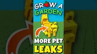 БОЛЬШЕ СЛУЧАЙНЫХ ПИТОМЦЕВ НОВОЕ ОБНОВЛЕНИЕ | СОБЫТИЕ ЭТАПА SEED | УТЕЧКИ Grow a Garden Roblox #ro...