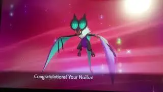Pokemon sword) noibat evolves into noivern