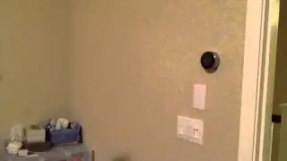 NEST as a toy