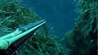 Jimmy Montanti Denticione in caduta pesca invernale.MP4