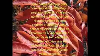 Yine hazan mevsimi geldi