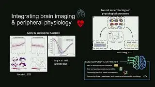 OHBM 2025 | Roundtable | Synergizing functional brain imaging results | Part 2