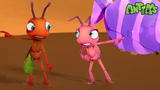 Boo Fica Presa na Lama buscando chocolate | 1 HORA DE ANTIKS BRASIL | Desenhos para Crianças