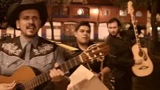La Divisi&oacute;n del Norte - La Catrina