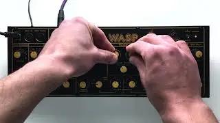 Behringer WASP Deluxe | Techno/House Sequence (No Talking)