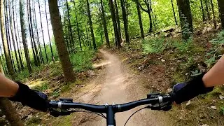 The Best Trail In The Country? MTB Route Lochem
