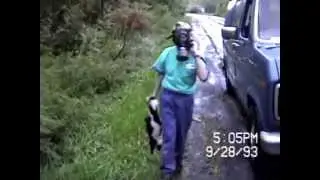 How To Catch A Skunk!