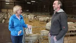 Martina Fehlner im Gespräch mit Schäfer Armin Bergmann aus Mömbris-Heimbach