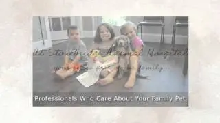 Animal Hospital McKinney |  (469) 507-2433