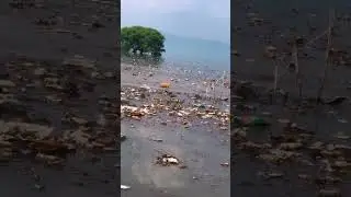 Tarbela dam update #2024shorts #fishing #mangladam #tarbeladam #shahpurdam #ytshorts