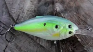 Lucky Tackle Box Bass XL January 2017