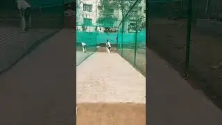 attacking shots #shorts #cricket #ipl