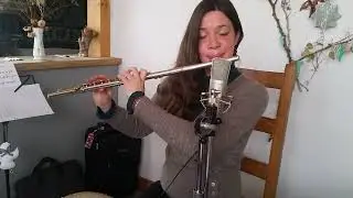 ☘️ Irish Flute ✨ Larry McDonagh's, Seamus Tansey's, The Red-Haired Lass & Billy Brocker's